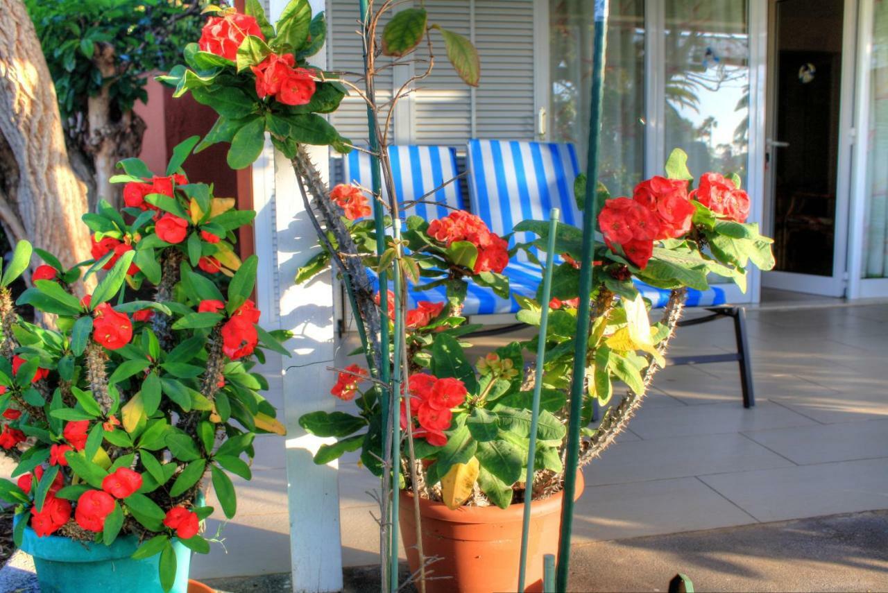 Bungalows Los Melocotones Maspalomas  Eksteriør bilde